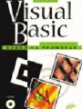 Visual Basic. Освой на примерах
